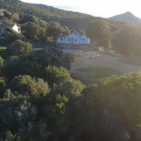 Licciola Villa *